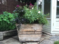 Champagne crate planting for summer celebrations